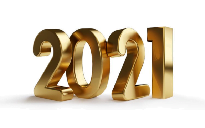 2021 Searches