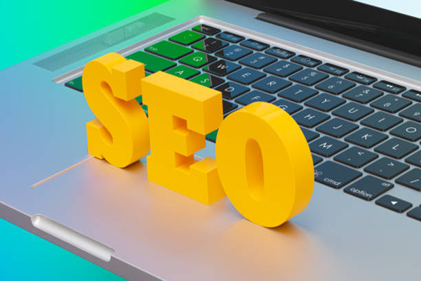 SEO Consultant
